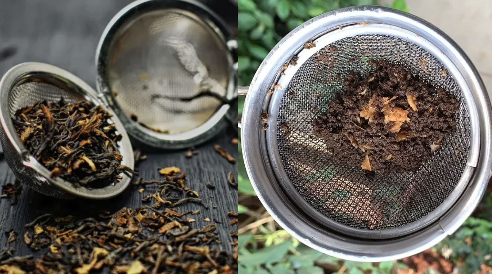 tea wastage leaves uses