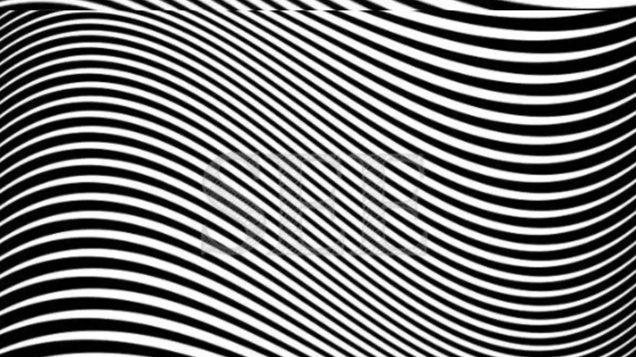 letter in optical illusion